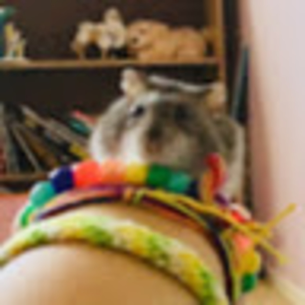 Meet your Posher, Sarina